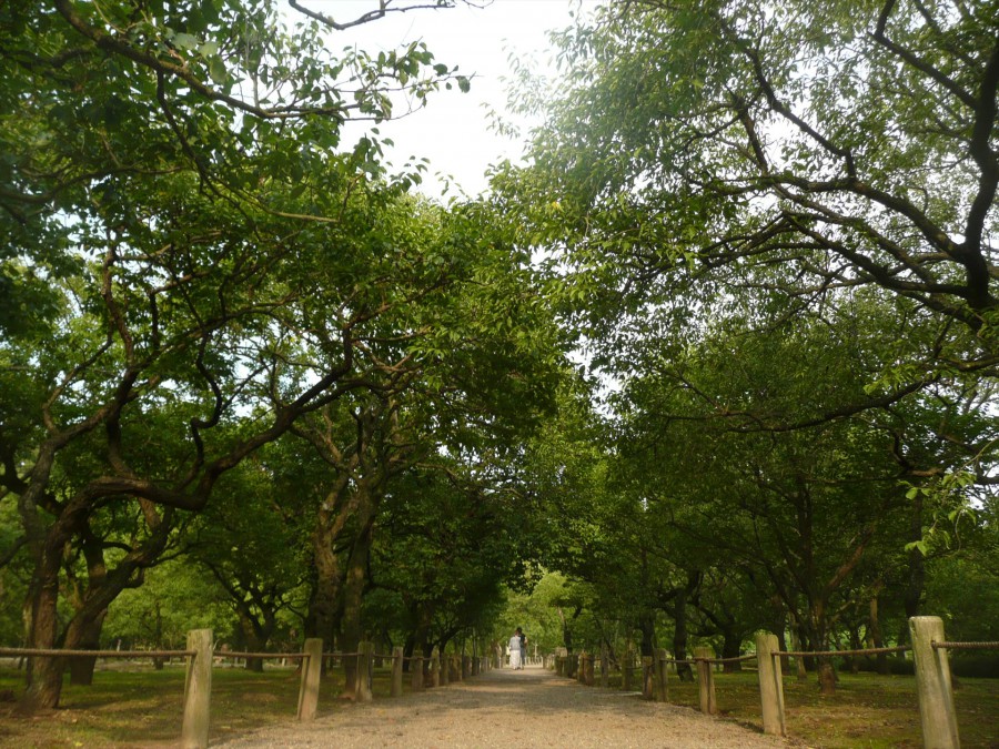 P1040614_R