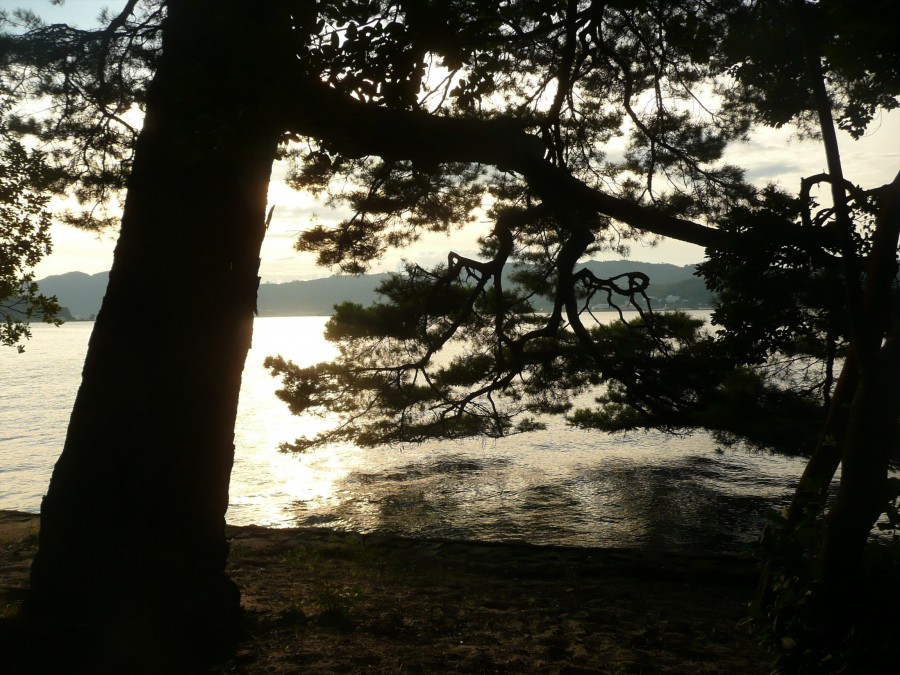 P1050908_R