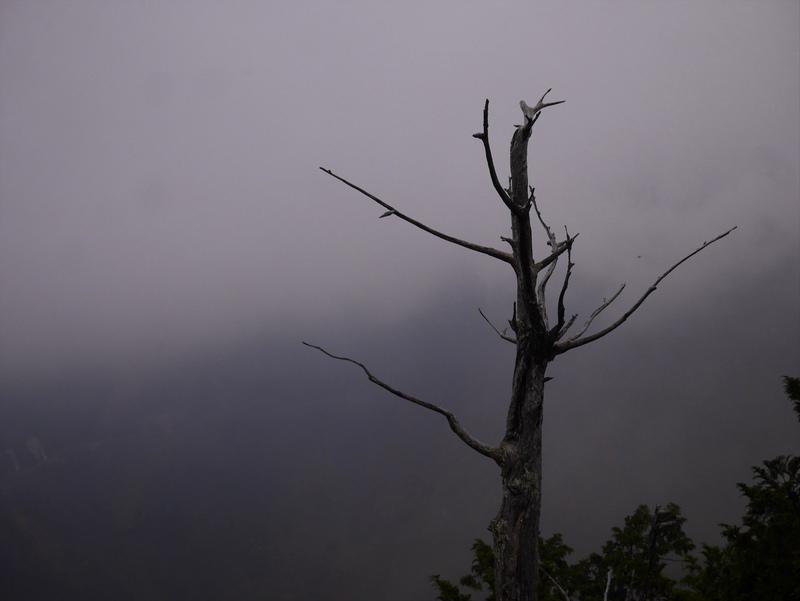 妙法ケ岳の山頂