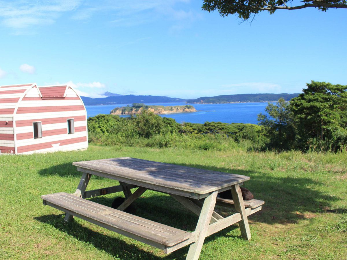 マンガアイランドのベンチ