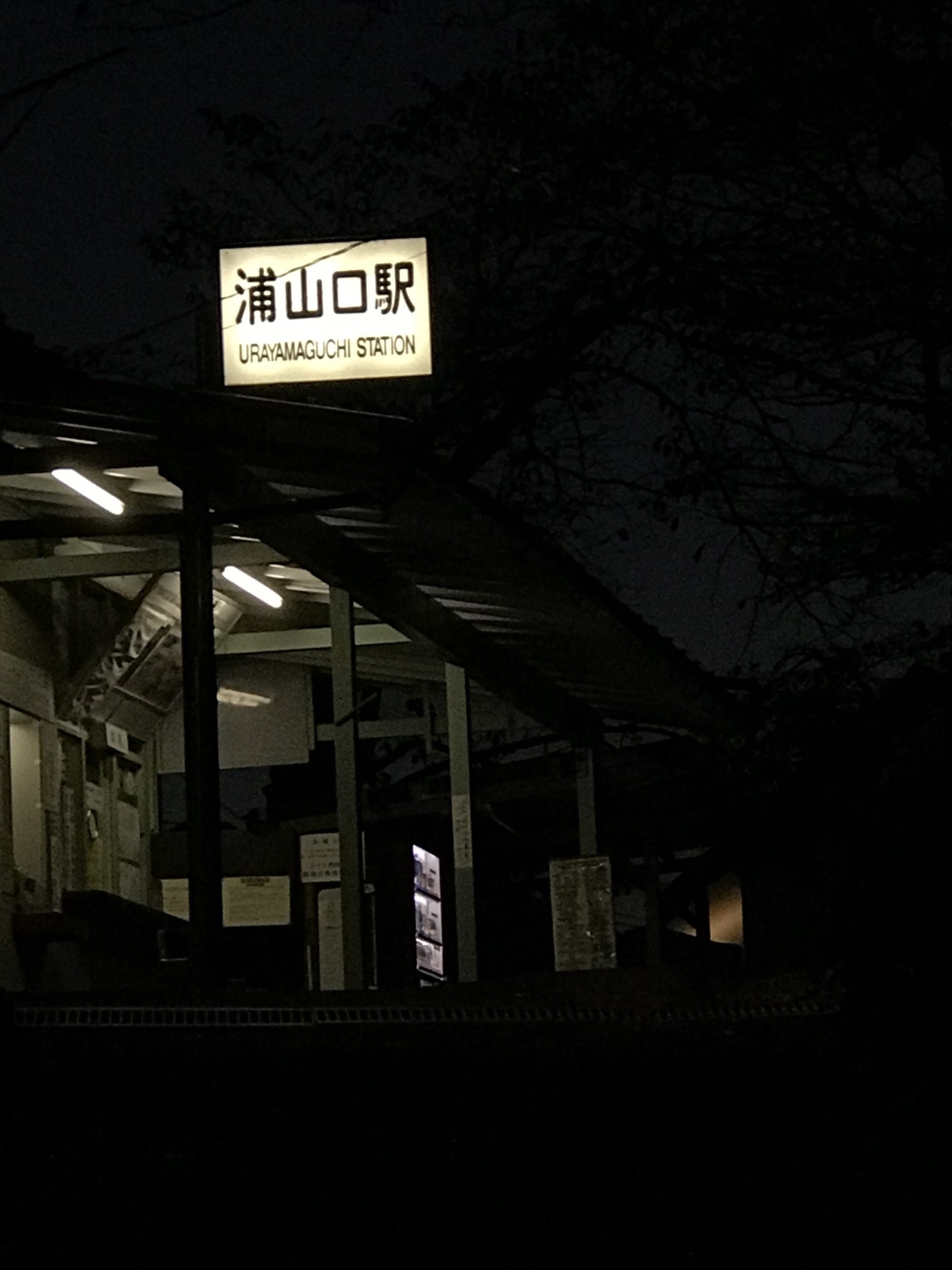 夜の浦山口駅