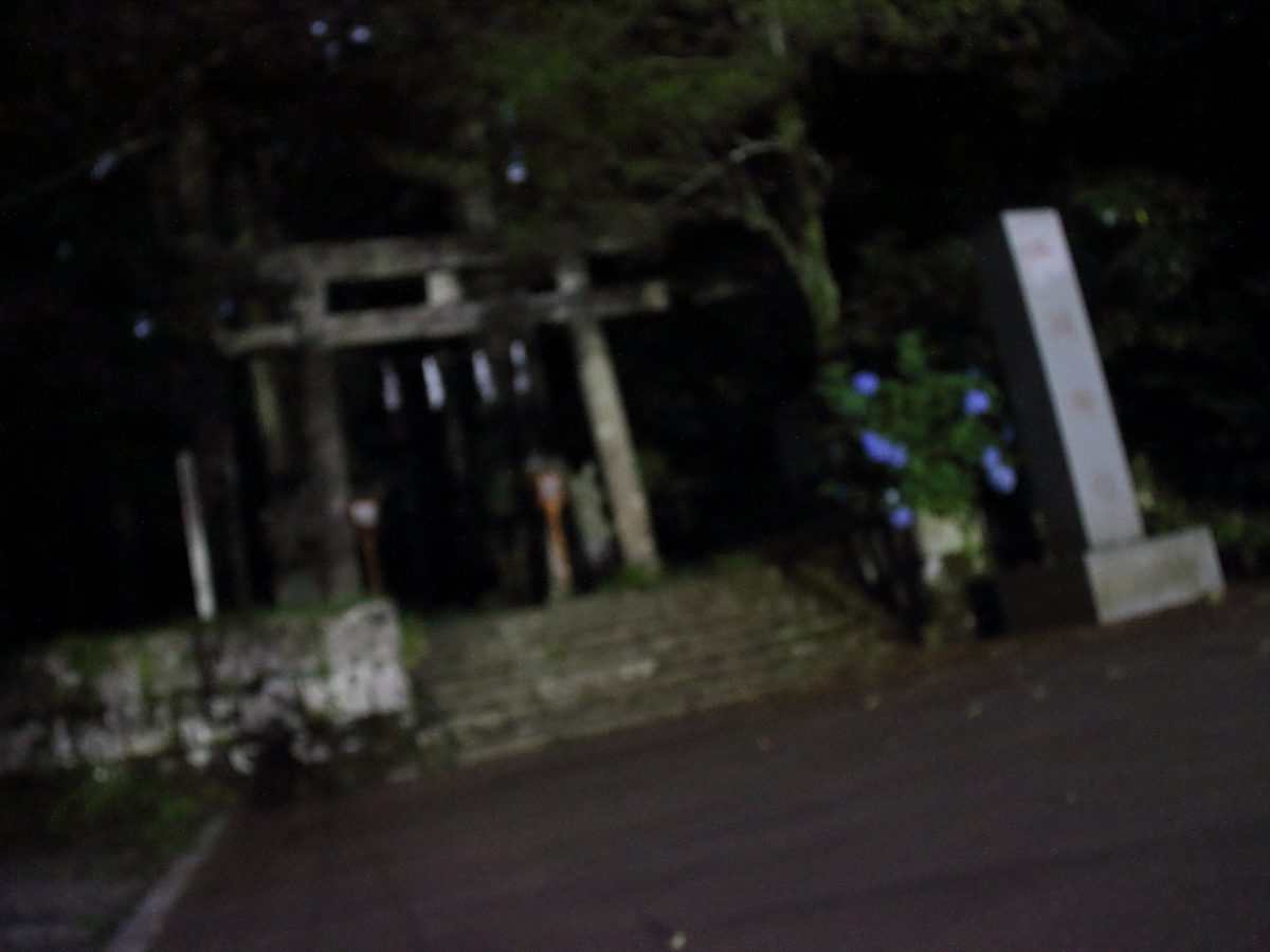 暗闇過ぎてピントが変になってしまった