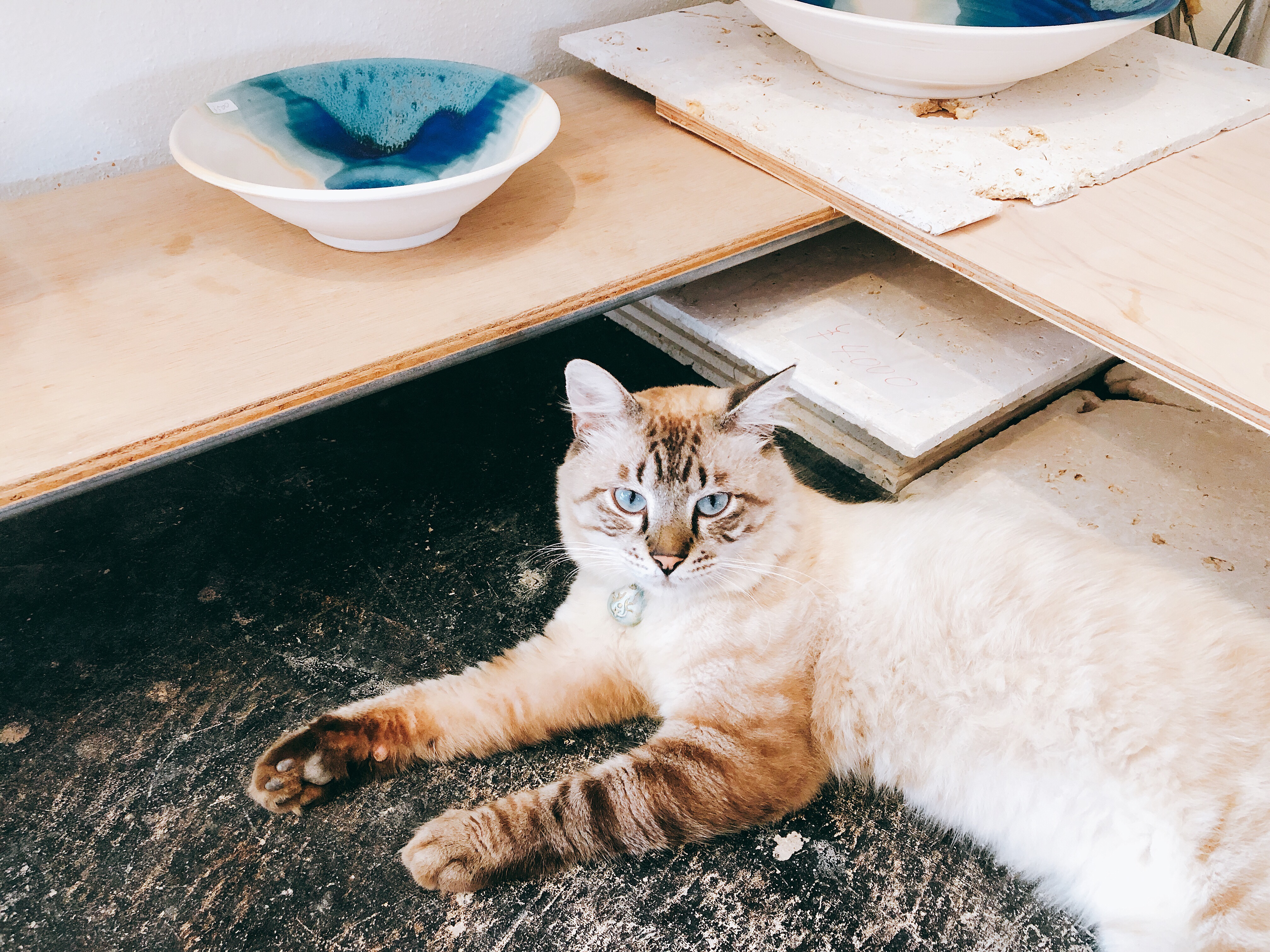 うるま陶器の猫