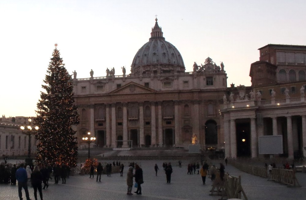 サンピエトロ広場のクリスマスツリー