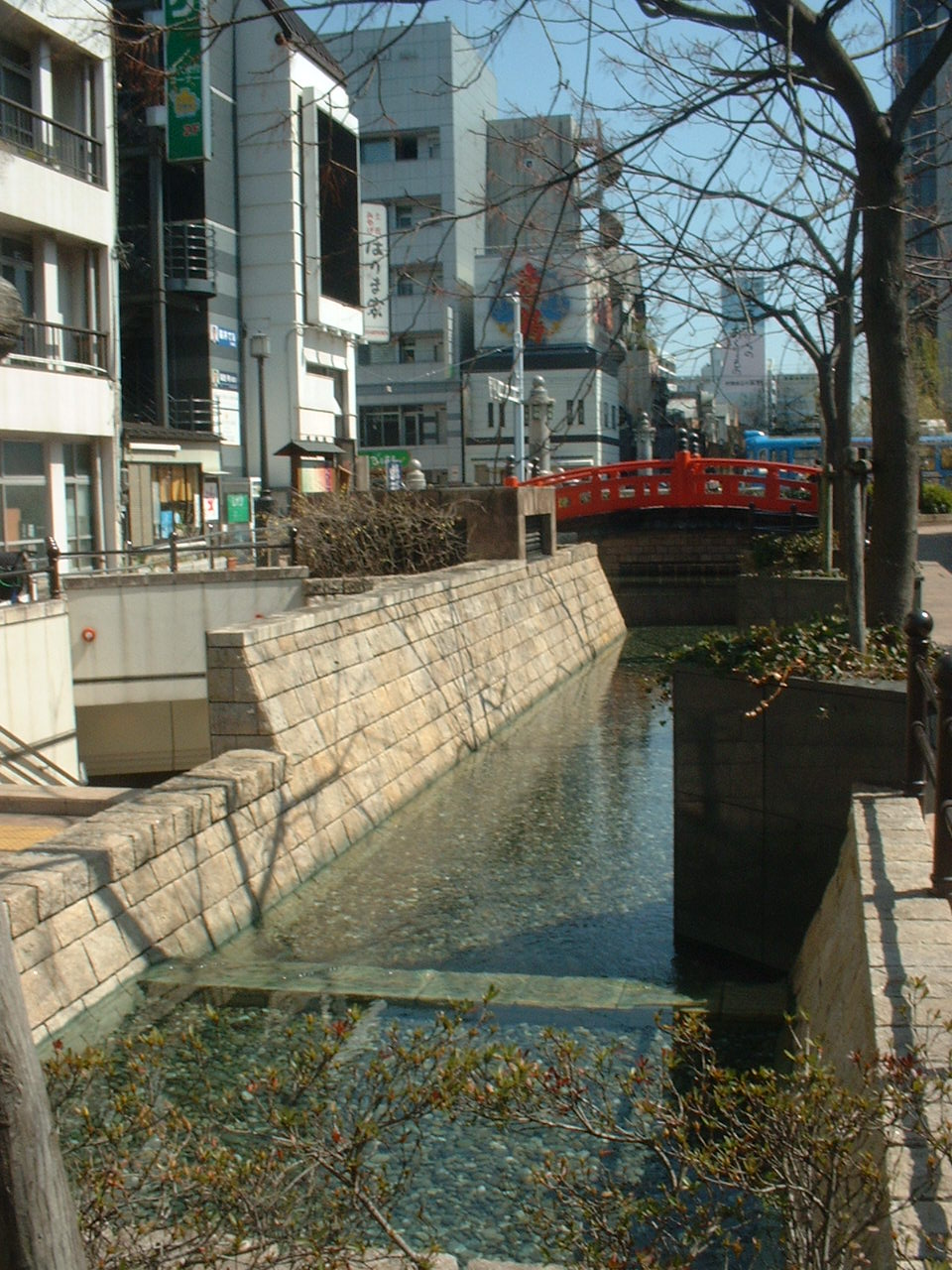 はりまや橋遠くから