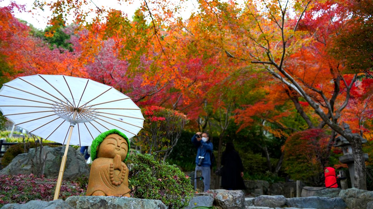 一味違う法徳寺