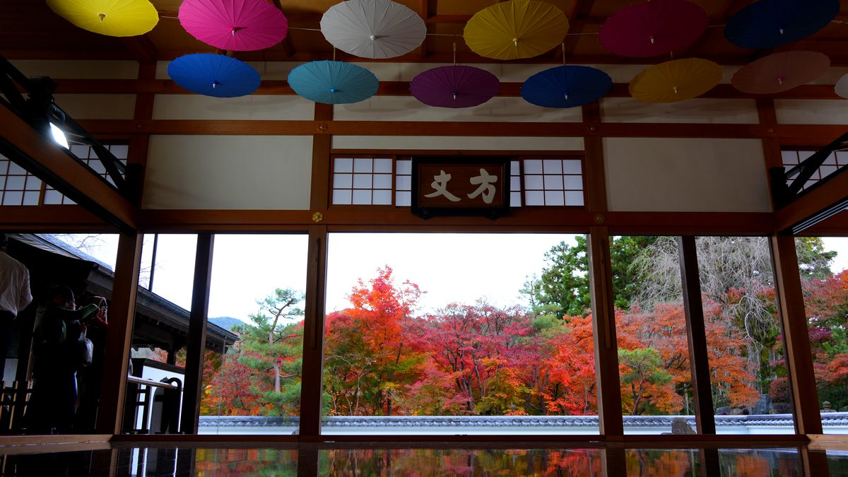 法徳寺の天井の傘