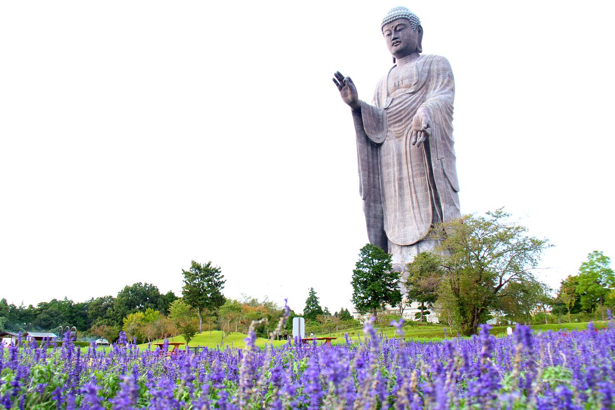 サルビア越しの牛久大仏