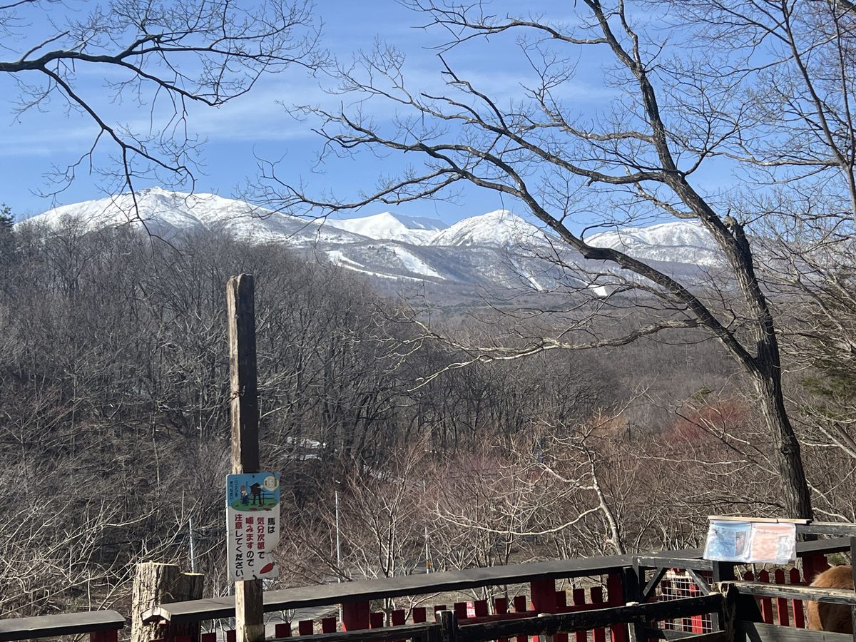 キツネ村から蔵王連峰